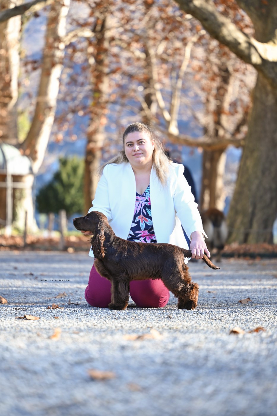 Andrew Du Domaine Des Rêves Bleus - 1 très prometteur Meilleur Puppy