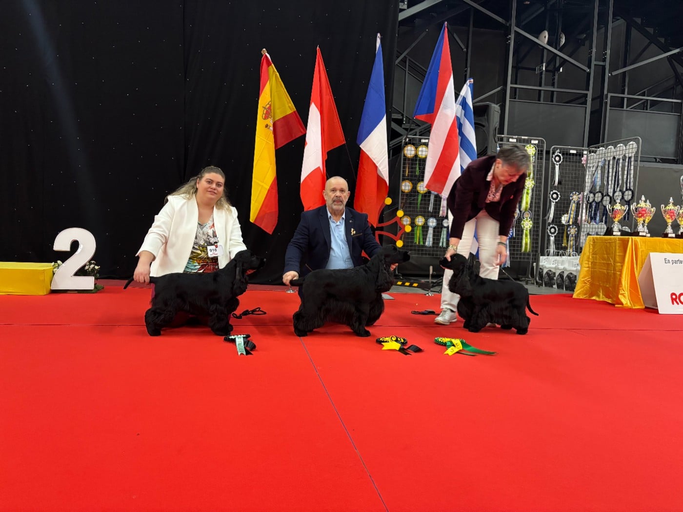 gerini's truelife Kendrick lamar - 1 EXCELLENT CACIB-J MEILLEUR JEUNE Best groupe jeune 8