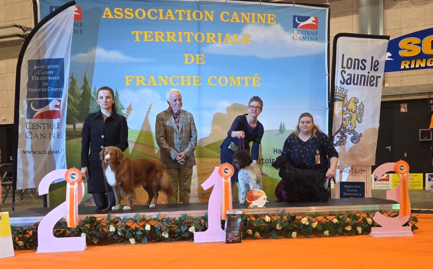 gerini's truelife Kendrick lamar - 1 excellent cacsj Meilleur jeune Meilleur de race BOG3 jeune BOG3 adulte