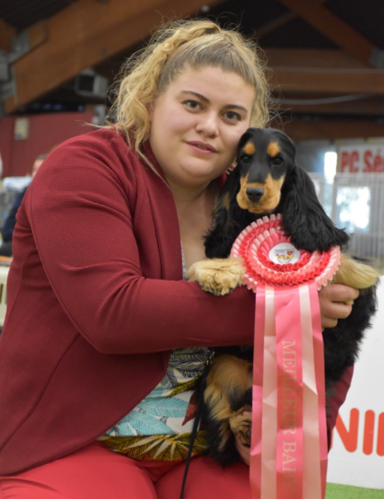 Tina turner Du Domaine Des Rêves Bleus - 1 très prometteur Meilleur Baby