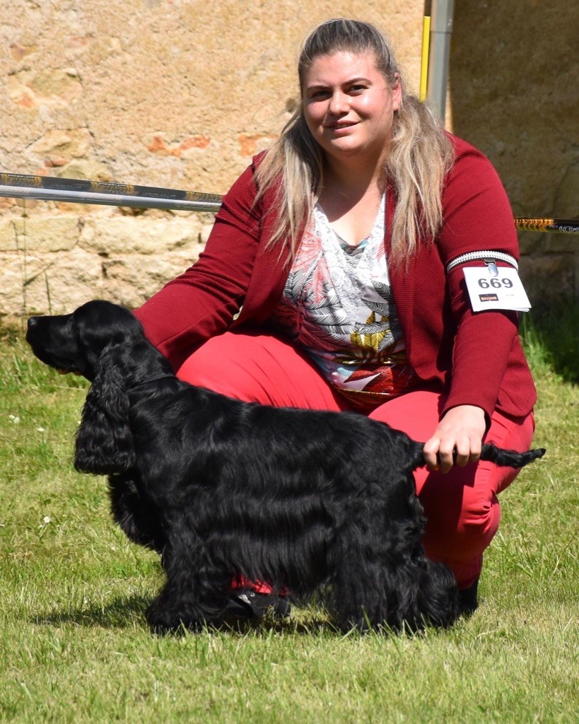 Oreo Du Domaine Des Rêves Bleus - 2 Eme excellent