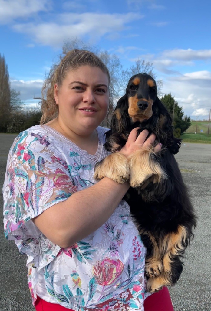 Tina turner Du Domaine Des Rêves Bleus - 1 ère très prometteur