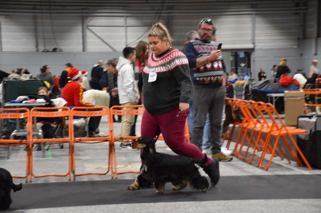 Vitaa Du Domaine Des Rêves Bleus - 1 EXCELLENT CACS-MEILLEUR JEUNE 2 BOG-J MEILLEUR SEXE OPPOSE