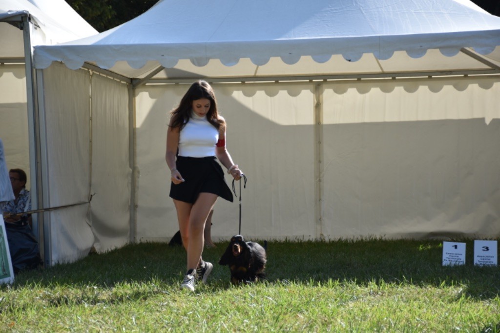 Talya Du Domaine Des Rêves Bleus - 2 Eme excellent