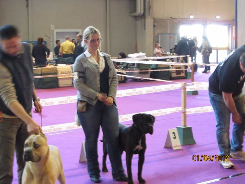 Gino du domaine de Tarmac - 2ème Très Bon