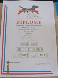 Gino du domaine de Tarmac - Très bon non classé