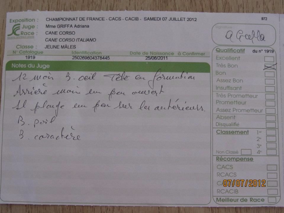 Gino du domaine de Tarmac - Très bon non classé