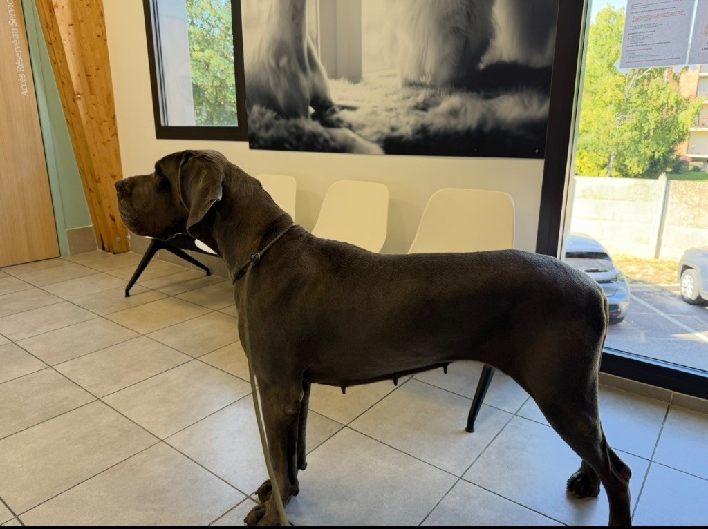 Splatsh  Des Iles Aux Falaises