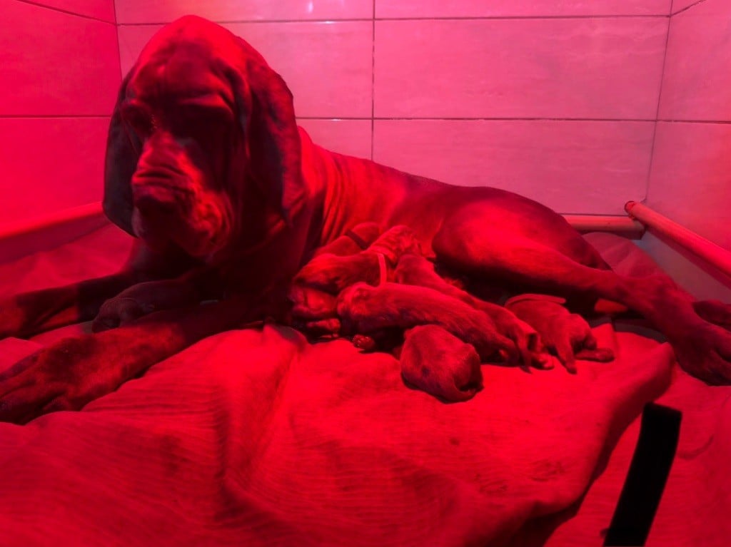 Splatsh  Des Iles Aux Falaises