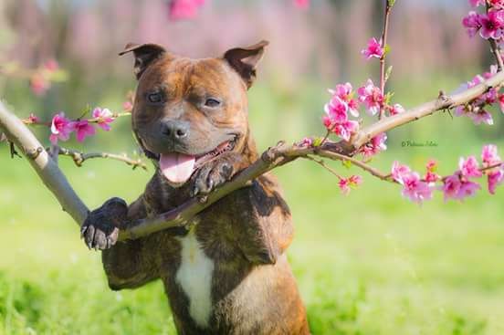 Publication : (Sans Affixe)