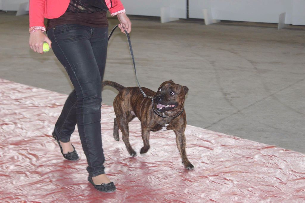 Publication : (Sans Affixe)