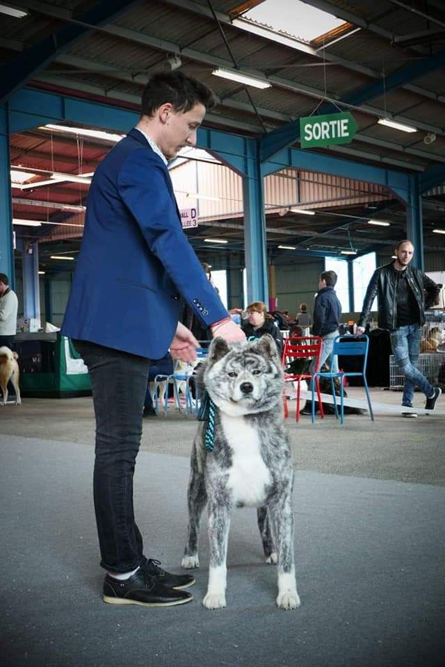 Publication : No Kazoku Auteur : No Kazoku