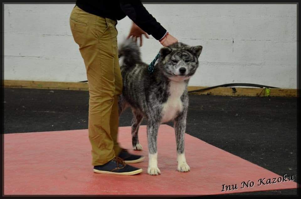 Publication : No Kazoku Auteur : No Kazoku