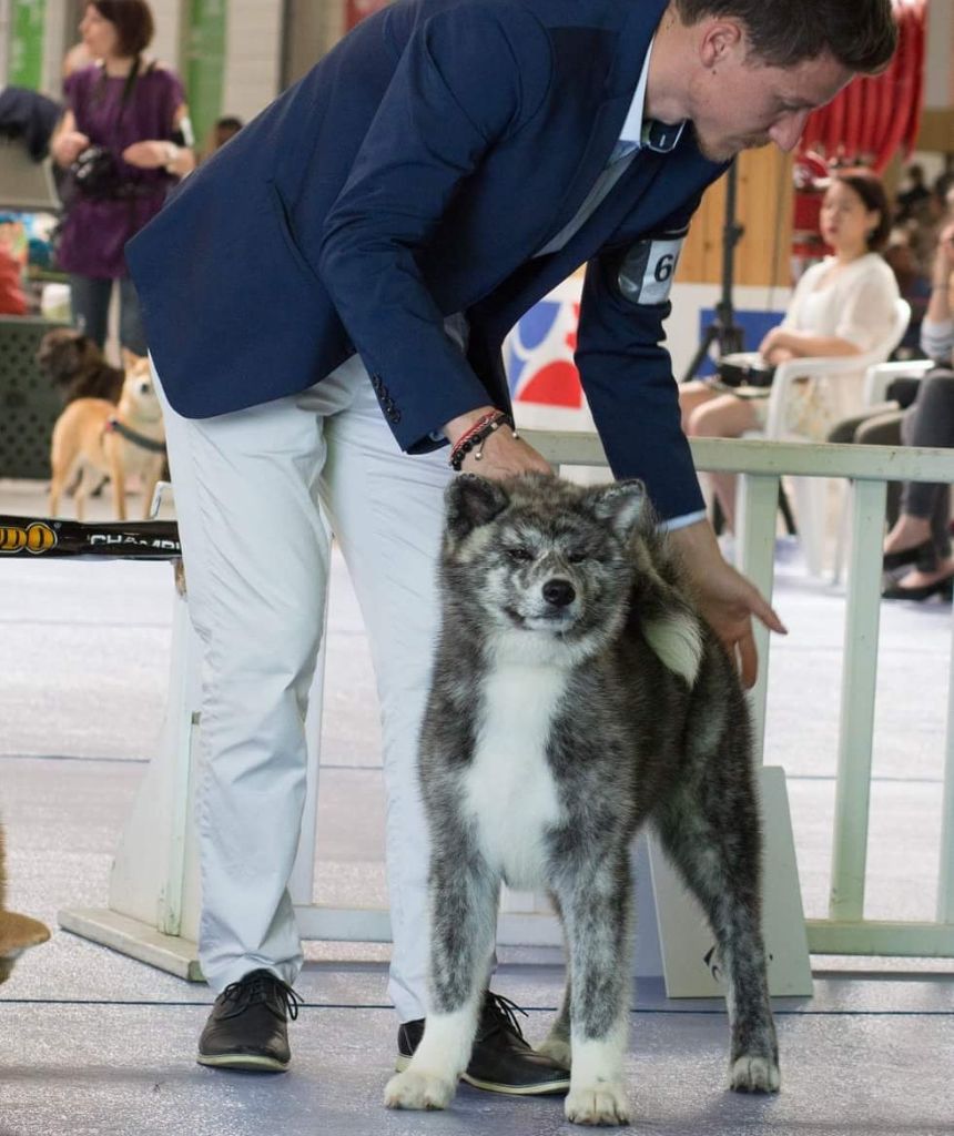 O'saïcho No Kazoku - Très Prometteur classe Baby (10 femelles)