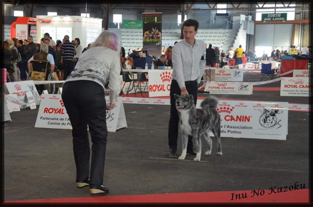 O'saïcho No Kazoku - Meilleure Jeune Femelle (1/6)