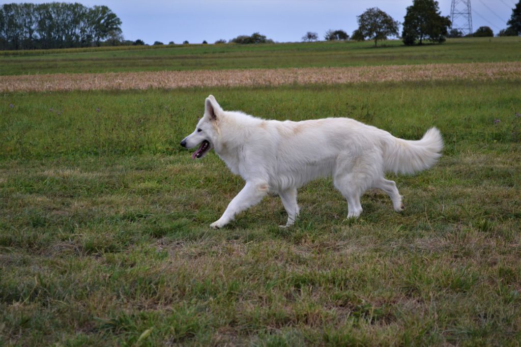 Publication : (Sans Affixe) Auteur : raphael hiegel