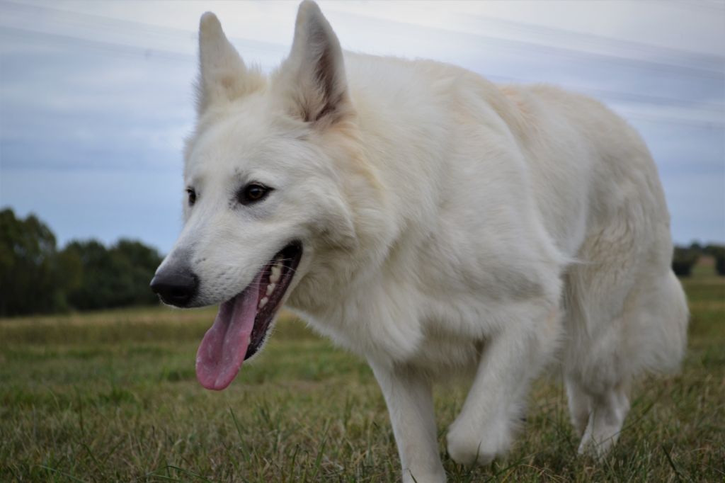 Publication : (Sans Affixe) Auteur : raphael hiegel