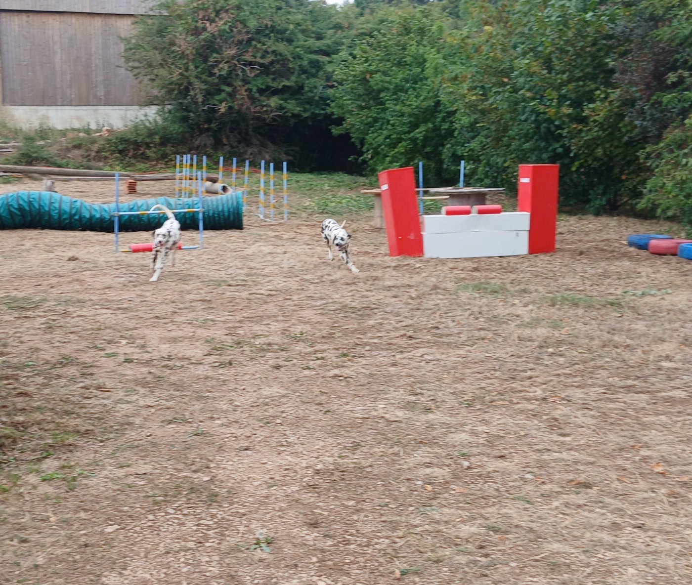 Aquarelle Feather Des Garrigues Du Pic Saint Loup