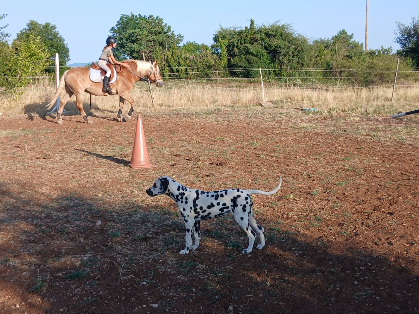 Aquarelle Feather Des Garrigues Du Pic Saint Loup
