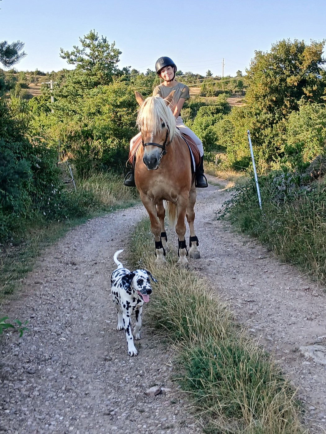 Aquarelle Feather Des Garrigues Du Pic Saint Loup