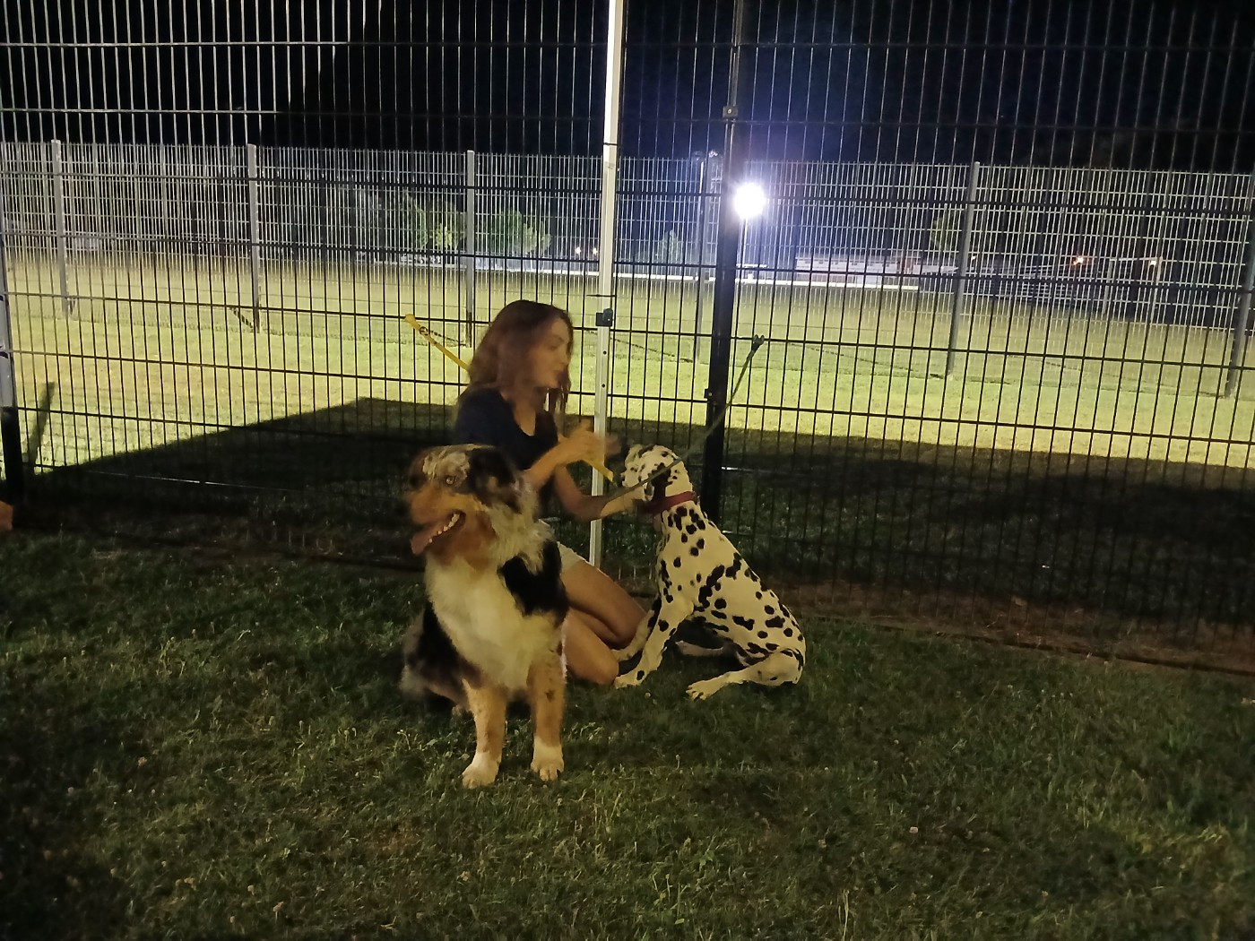Aquarelle Feather Des Garrigues Du Pic Saint Loup