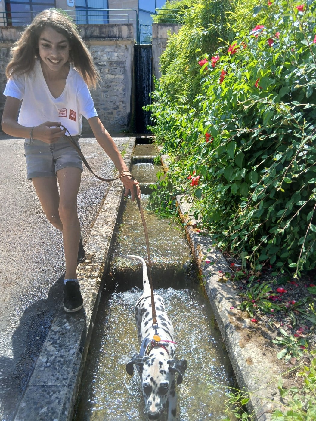 Aquarelle Feather Des Garrigues Du Pic Saint Loup