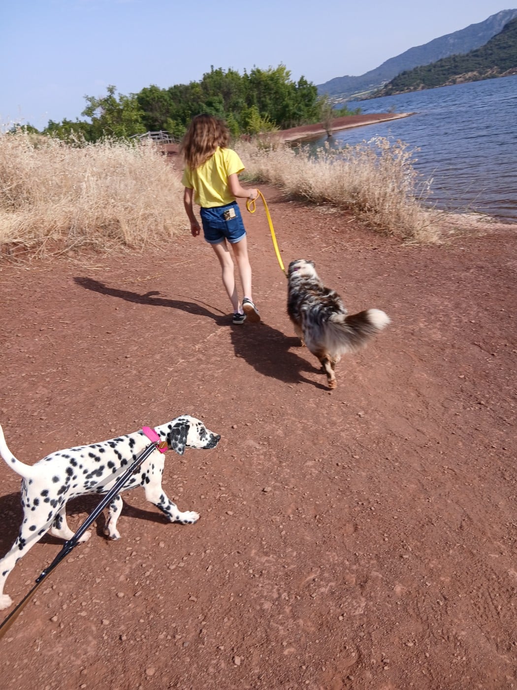 Aquarelle Feather Des Garrigues Du Pic Saint Loup