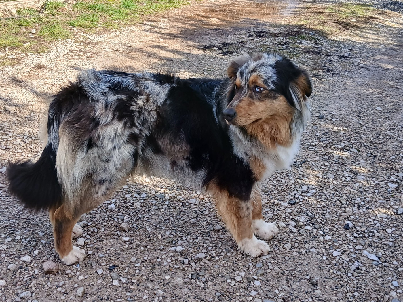 Publication : Du Vent Occitan