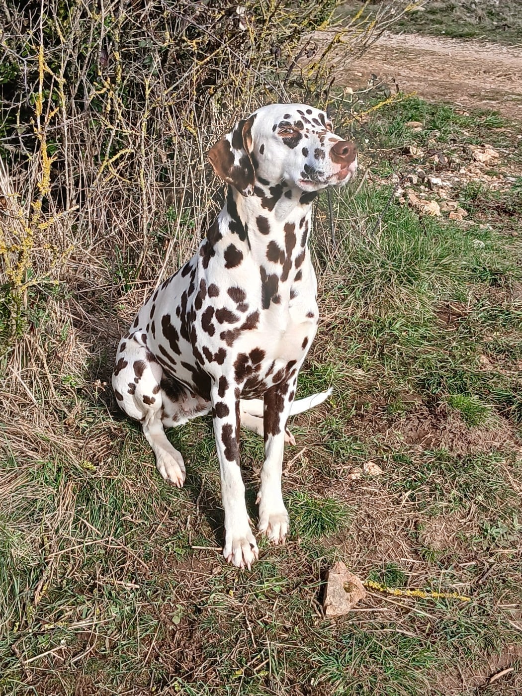 Publication : Du Vent Occitan Auteur : Stéphanie patron
