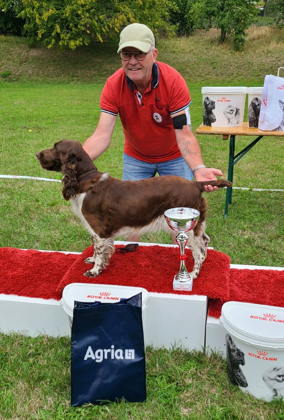 TR. CH. Ul'tra speed Des Contrees Du Mont Salin - 1er EXCELLENT / MEILLEUR TRAVAIL / MEILLEUR DE RACE et 3éme MEILLEUR SPANIEL de la RE