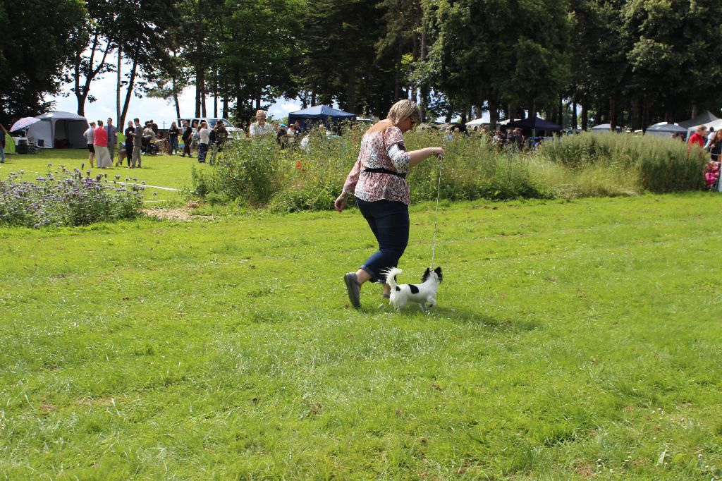 Louna Des Dunes De Keremma - Très Bon Classe jeune