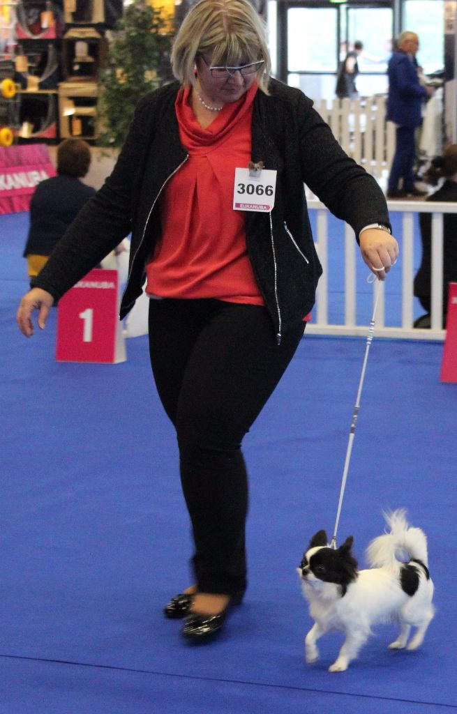 Louna Des Dunes De Keremma - Très Bon Classe Intermédiaire