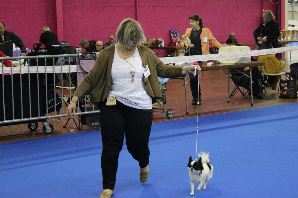 Louna Des Dunes De Keremma - Très Bon Classe Intermédiaire