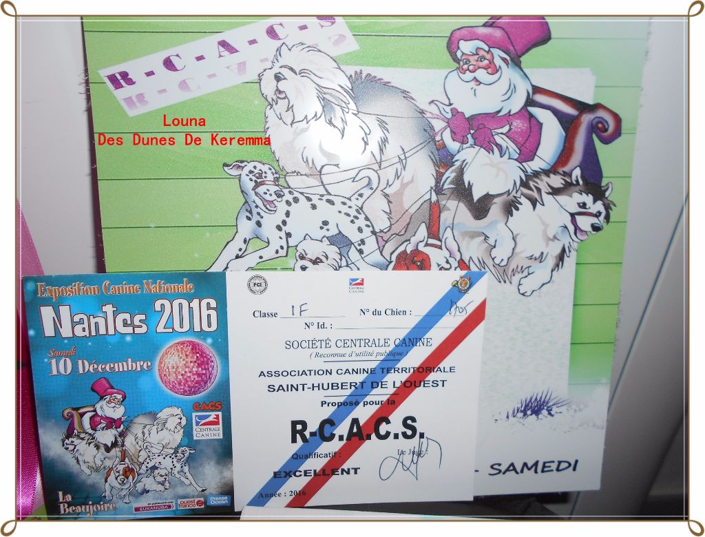 Louna Des Dunes De Keremma - R.C.A.C.S Classe Intermédiaire