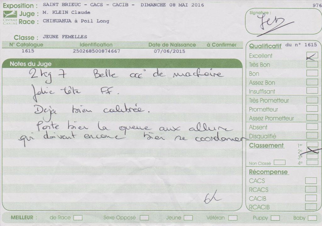 Louna Des Dunes De Keremma - 2e Excellent classe jeune