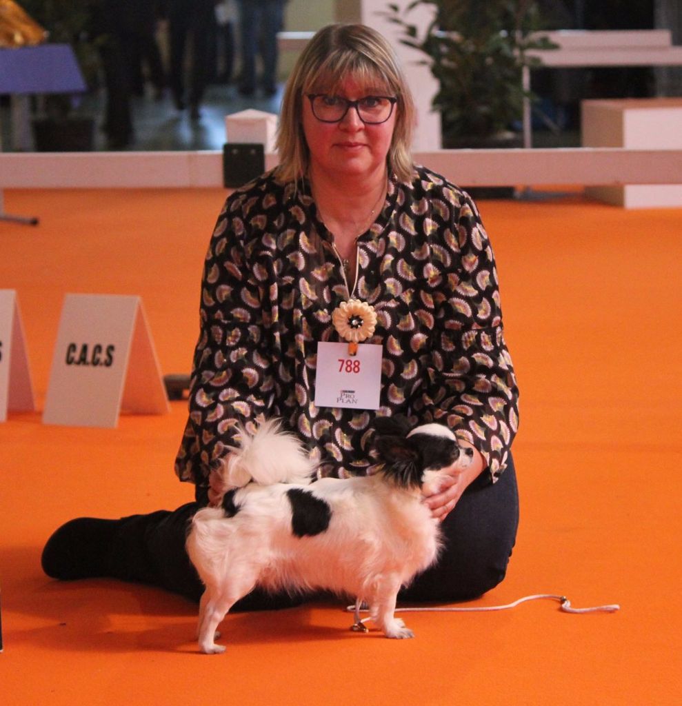 Louna Des Dunes De Keremma - 4e EXCELLENT classe Ouverte femelle