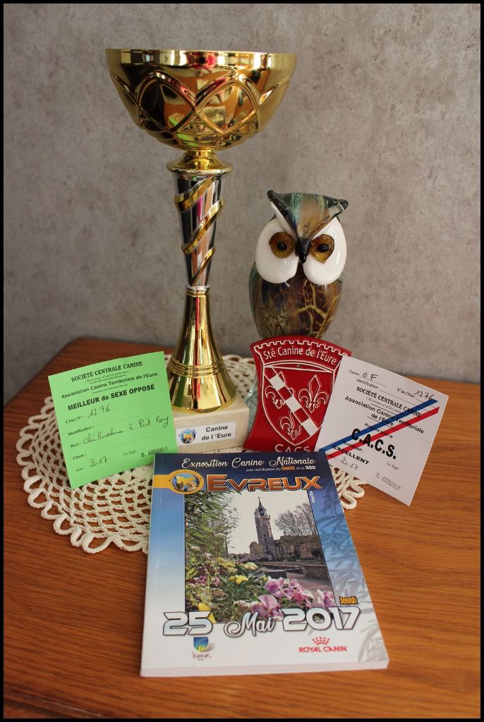 Louna Des Dunes De Keremma - C.A.C.S et Meilleur de sexe opposé Classe Ouverte