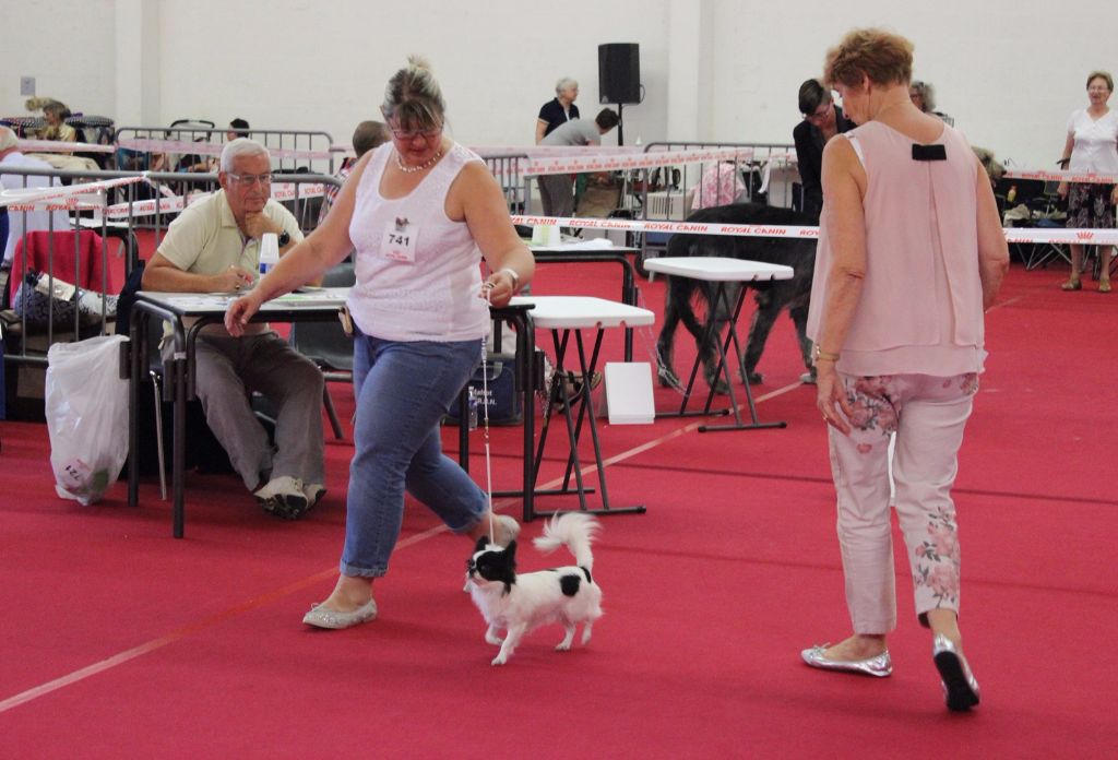 Louna Des Dunes De Keremma - Excellent et R.C.A.C.S classe Ouverte