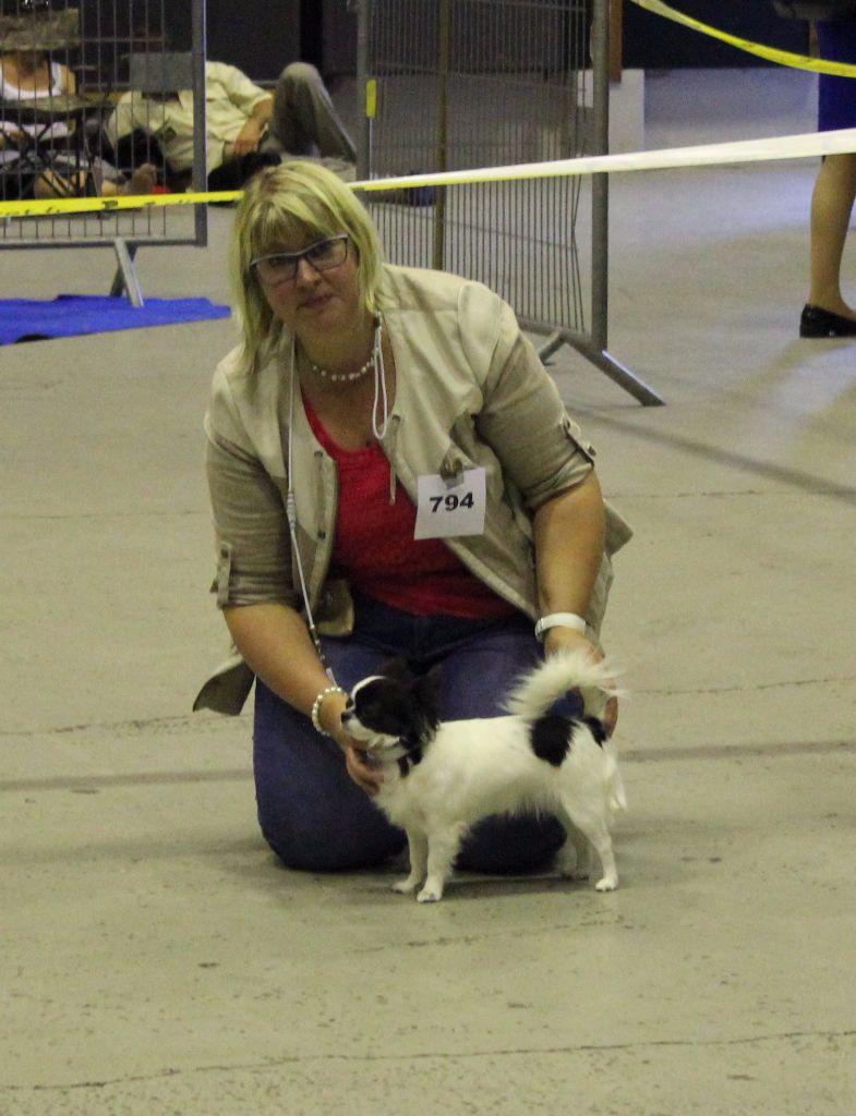 Louna Des Dunes De Keremma - EXCELLENT non classé