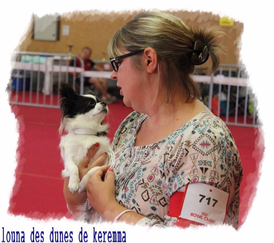 Louna Des Dunes De Keremma - Meilleur de Race Jeune