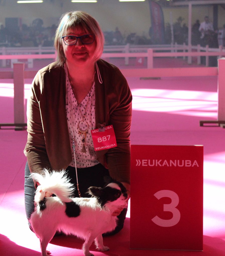 Louna Des Dunes De Keremma - 3 ème Excellent Classe Intermédiaire