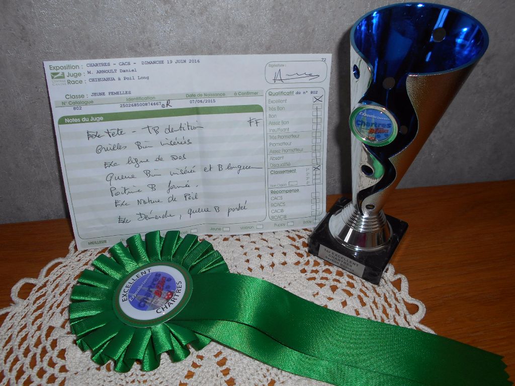 Louna Des Dunes De Keremma - 1er excellent classe Jeune