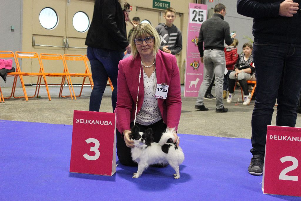 Louna Des Dunes De Keremma - 3 ème Excellent sur 4 classe Ouverte Femelle