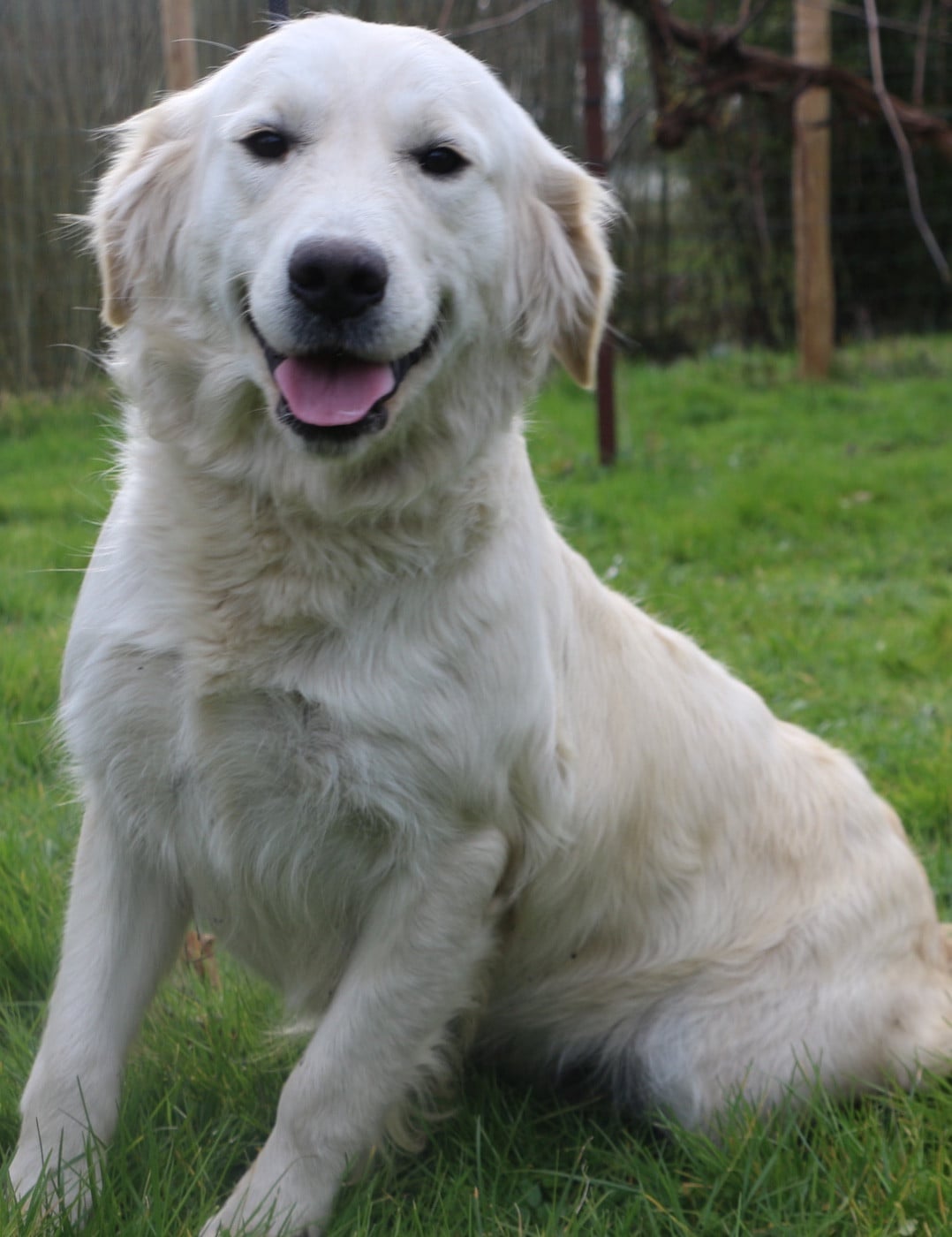 Publication : Du Domaine De Loumatpau