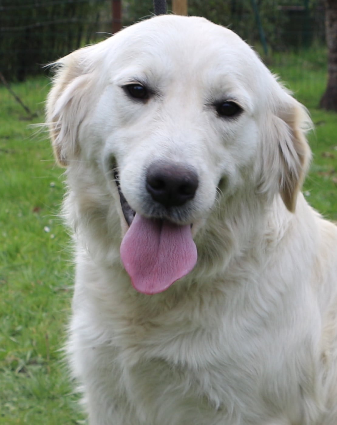 Publication : Du Domaine De Loumatpau