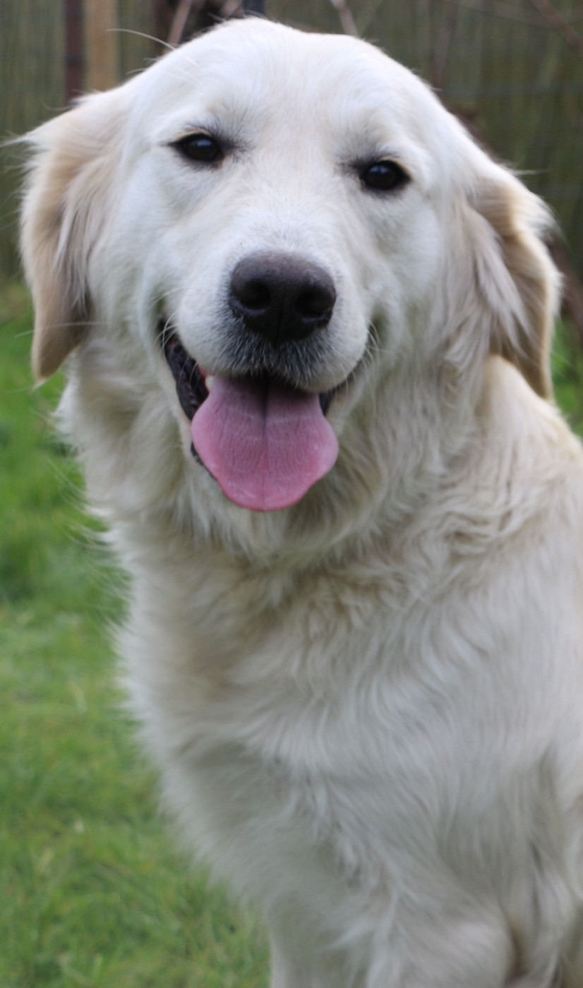 Publication : Du Domaine De Loumatpau