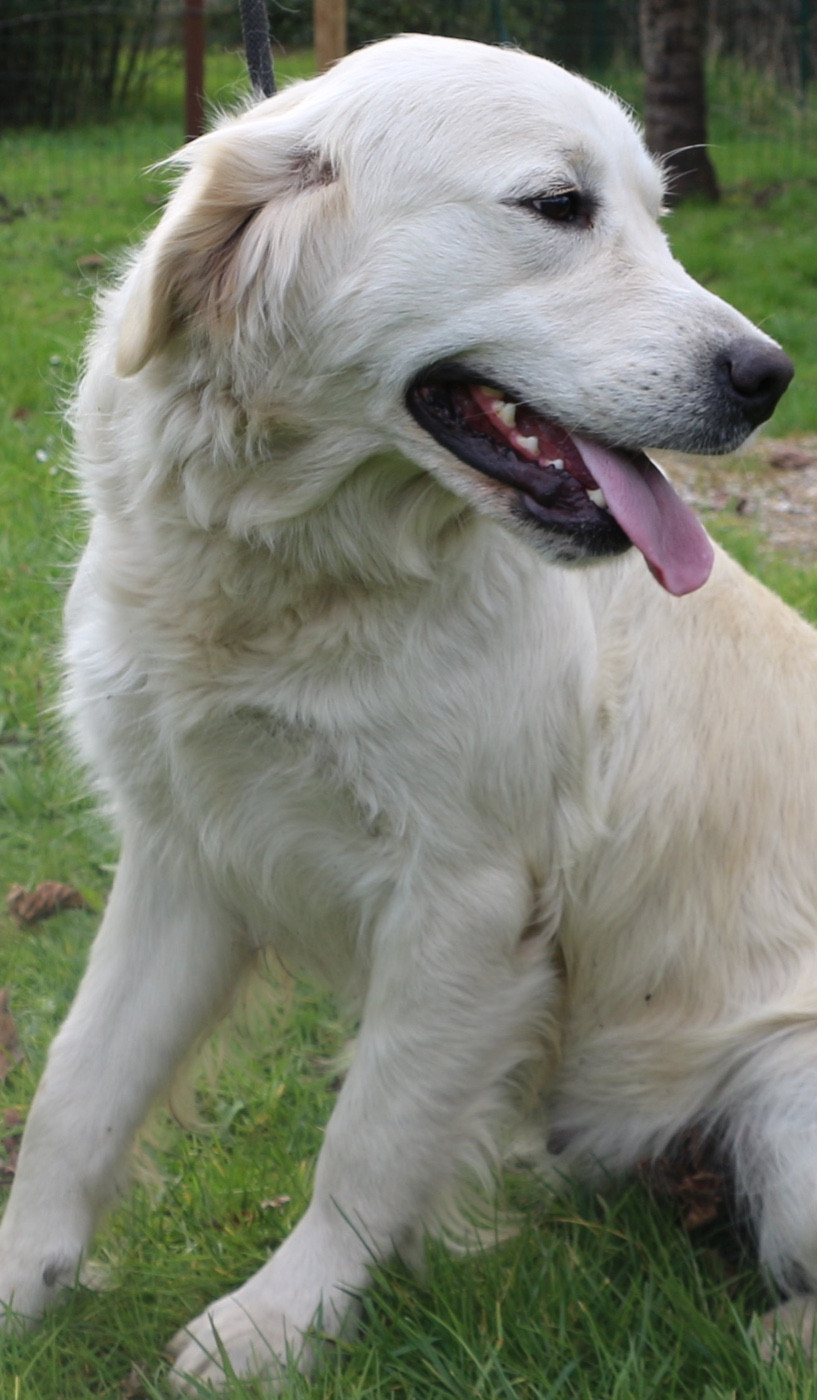 Publication : Du Domaine De Loumatpau