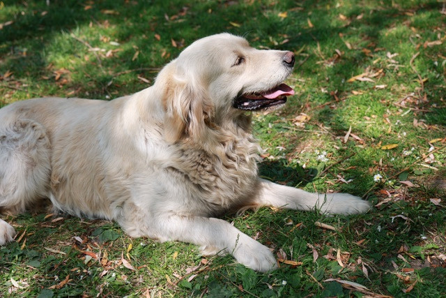 Publication : Du Domaine De Loumatpau