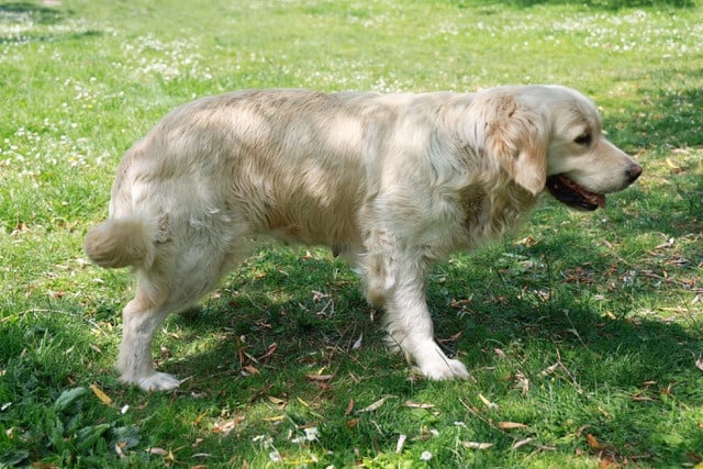 Publication : Du Domaine De Loumatpau