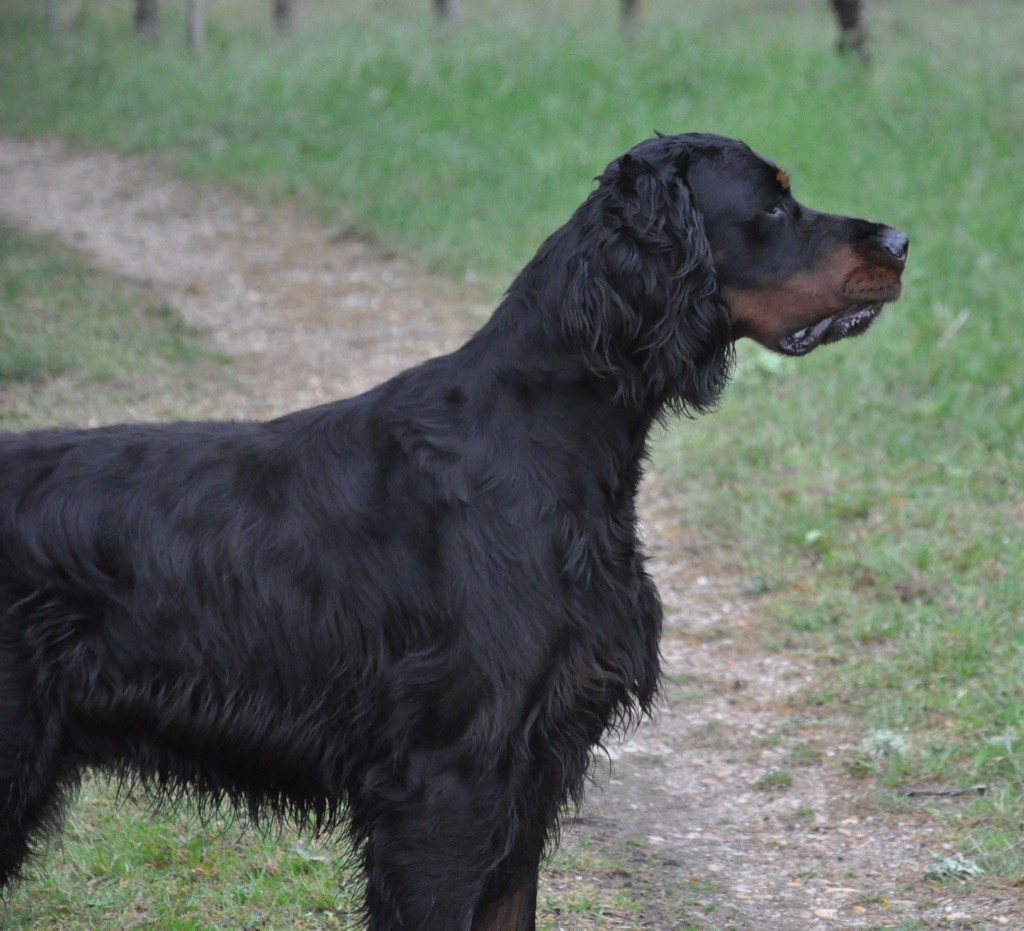 Publication : Des Coteaux Du Maine Marreau